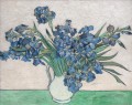 Van Gogh Irises and Roses